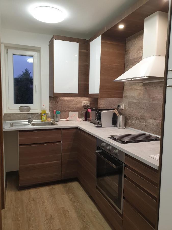 Apartman U Labe 宁布尔克 外观 照片